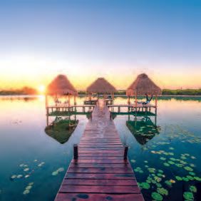 CARTE DOUBLE 16 X 16 AVEC CELLO