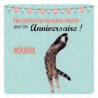 CARTE DOUBLE 12 X 12 CM SANS CELLO