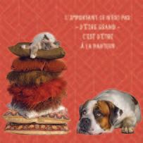 CARTE DOUBLE 12 X 12 CM SANS CELLO