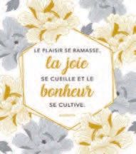 CARTE DOUBLE 13,5 X 15 CM SANS CELLO