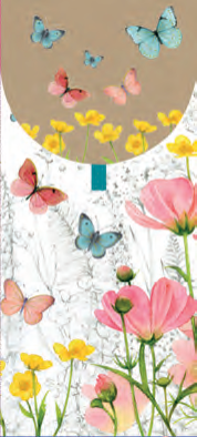 POCHETTE PORTE-BILLETS 9,6 X 21,3 CM AVEC CELLO