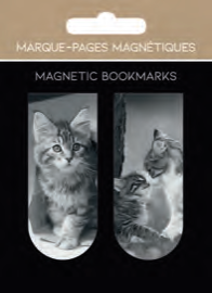 MARQUES-PAGES MAGNÉTIQUES