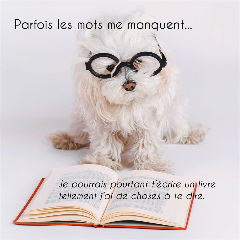 CARTE AVEC TEXTE 16 X 16 CM