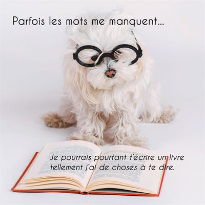 CARTE AVEC TEXTE 16 X 16 CM
