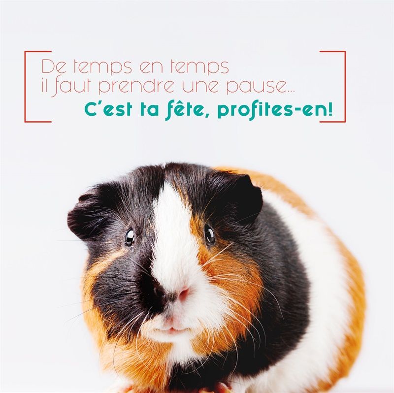 CARTE AVEC TEXTE 16 X 16 CM