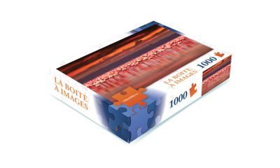 CASSE-TÊTE 1000 MORCEAUX