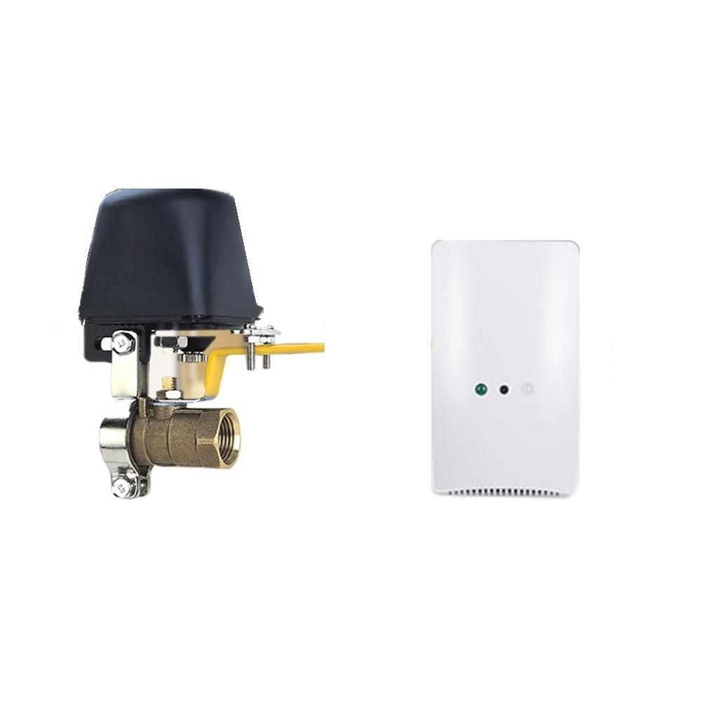 GAS DETECTOR SENSOR