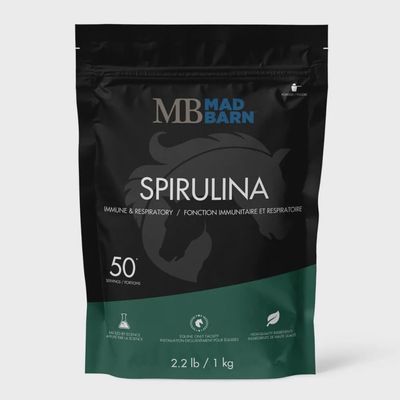 Spiruline en poudre