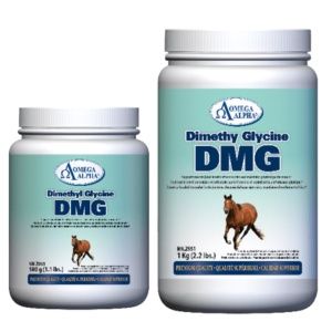 DMG (Dimethyl Glycine), Size: 500g