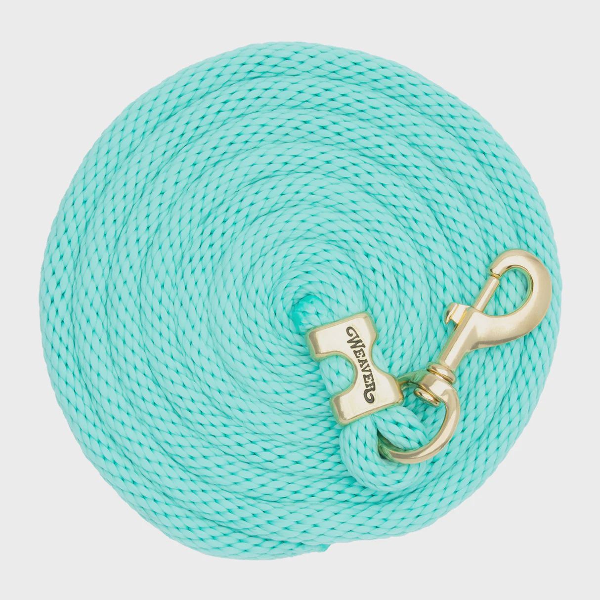 Laisse Weaver avec snap en brass, Colour: Menthe