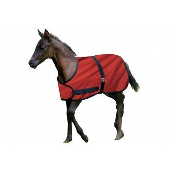 Couverture pour poulain 200G - Century