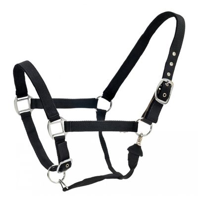 Licou Breakaway - Centaur