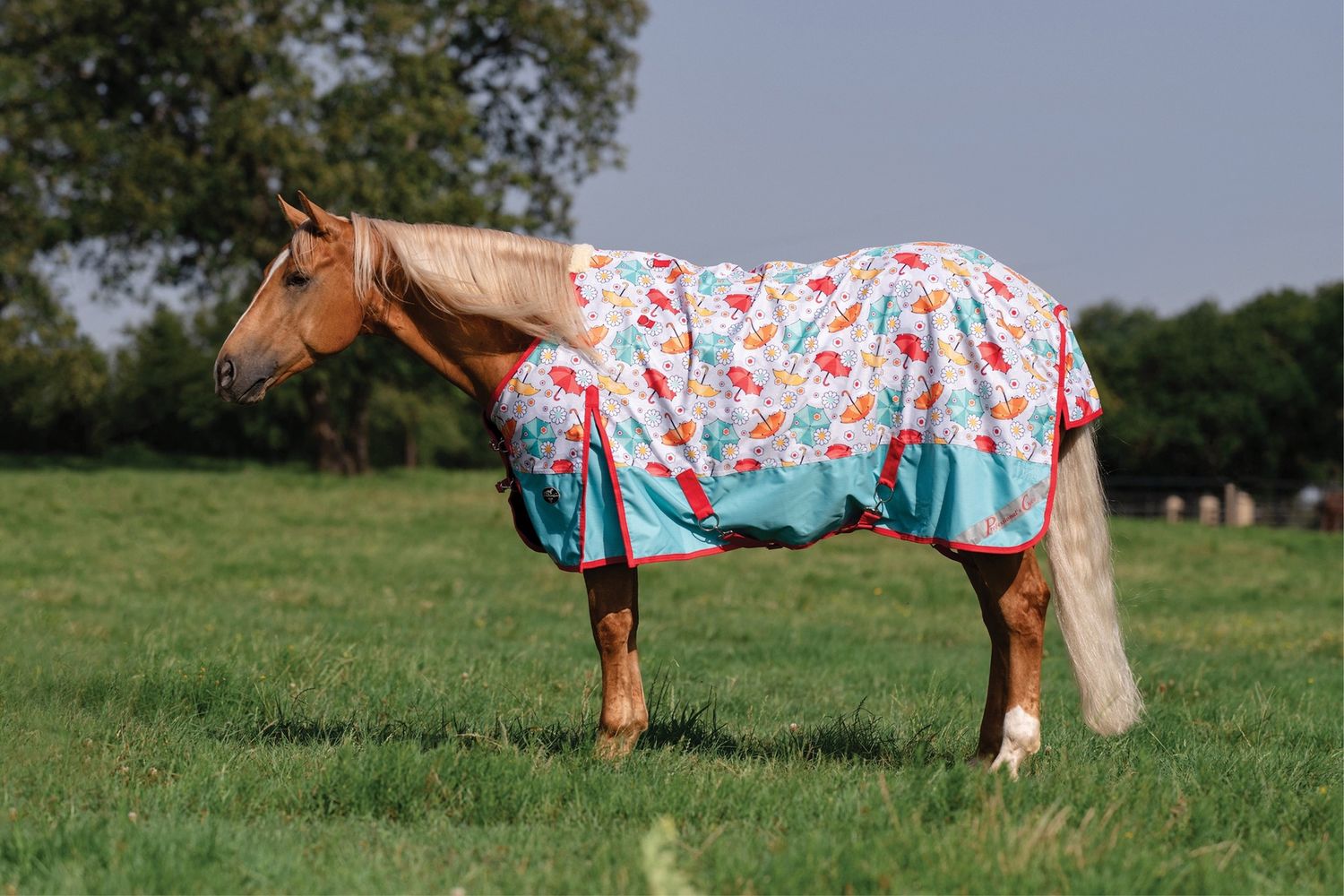 Couverture de pluie 1200D - parapluie - Prof' Choice