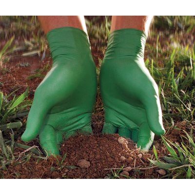 Gants biodégradables - 100