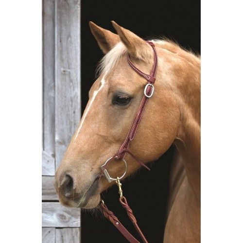 Bride à oreille brune - western rawhide