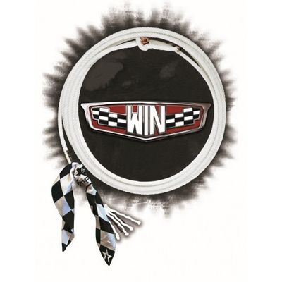 Rope Lone Star - Win 4 ply Breakaway