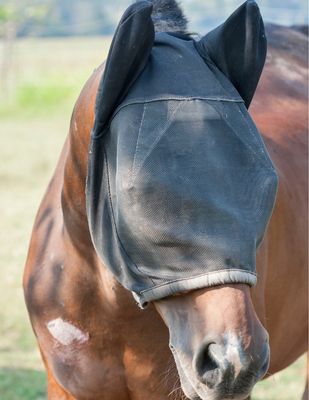 Produits contre les mouches