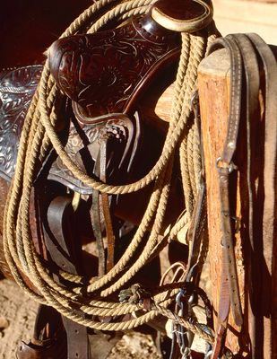 Équipements western