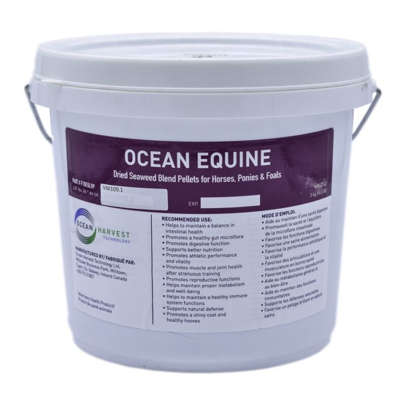Océan équin, Size: 3Kg