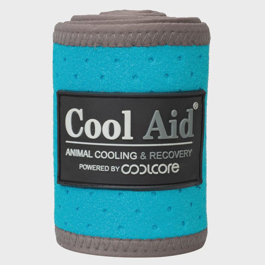 Bandages de Polo Icing&amp;Cooling Coolcore de Synergy - Weaver, Colour: Turquoise, Size: Medium