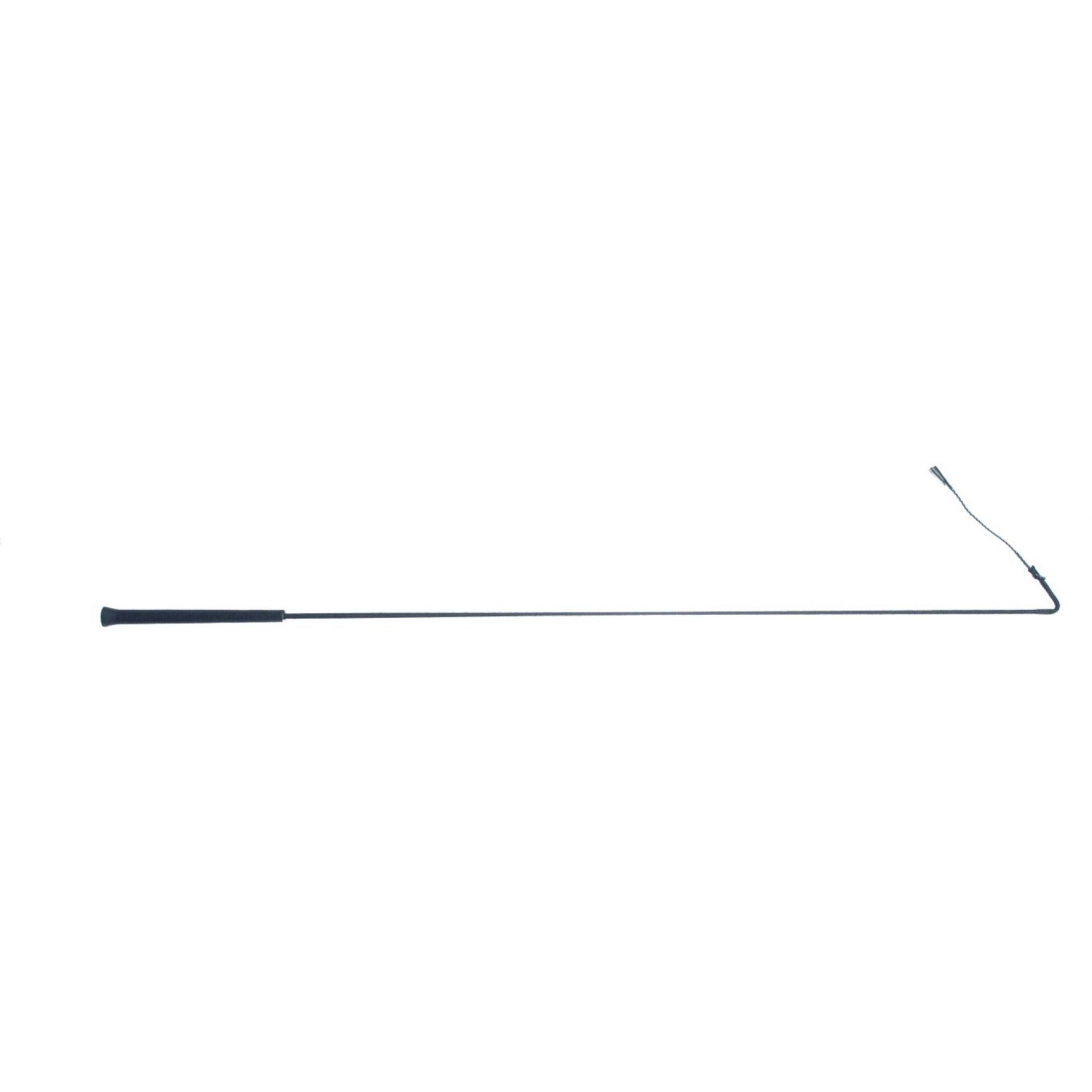 Fouet d'instruction Western en cuir brut - Noir, 122 cm