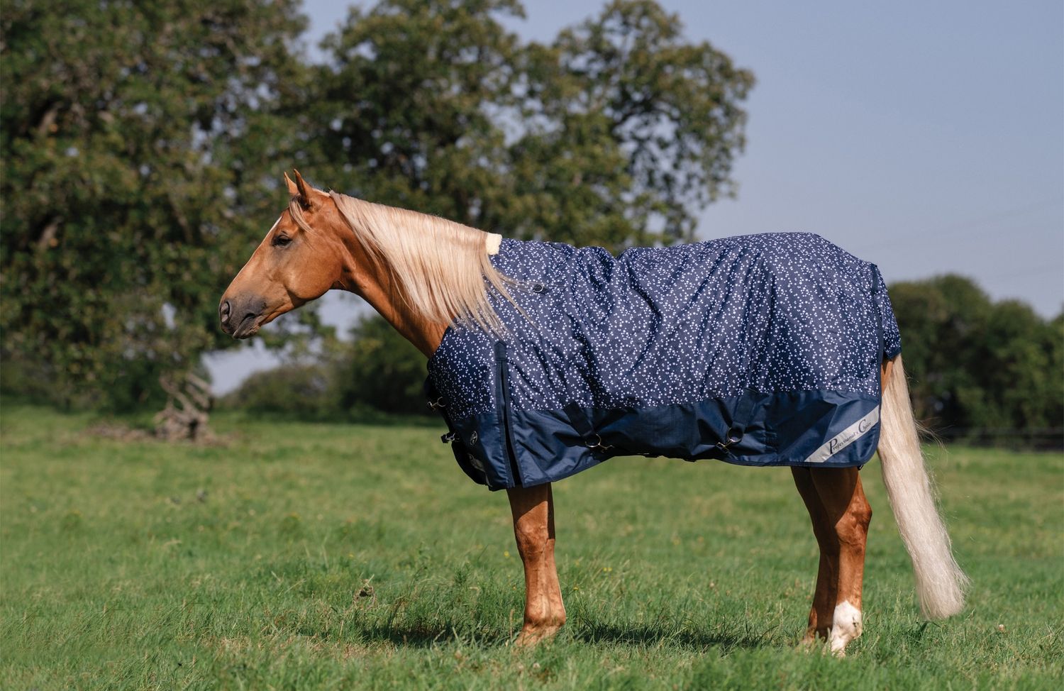 Couverture d'hiver 300Gr Poney - Étoiles - Prof' Choice