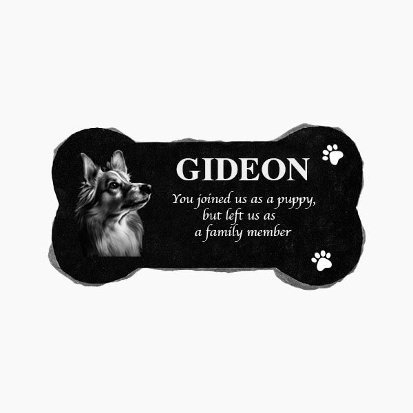 Jet Black Granite Bone Pet Marker (14&quot; x 7&quot;)