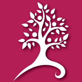 COTISATION ANNUELLE - CORPORATIF | INSTITUTIONNEL
