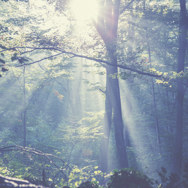 Breathe