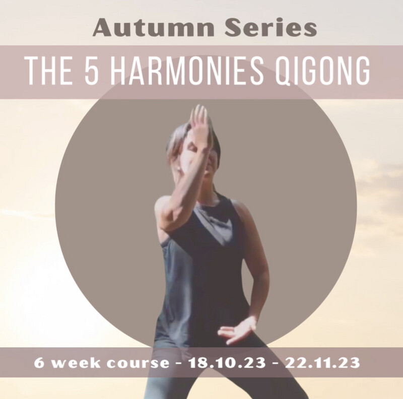 6 Week Qigong Course - The 5 Harmonies - Autumn Series / Studio Space and Recordings