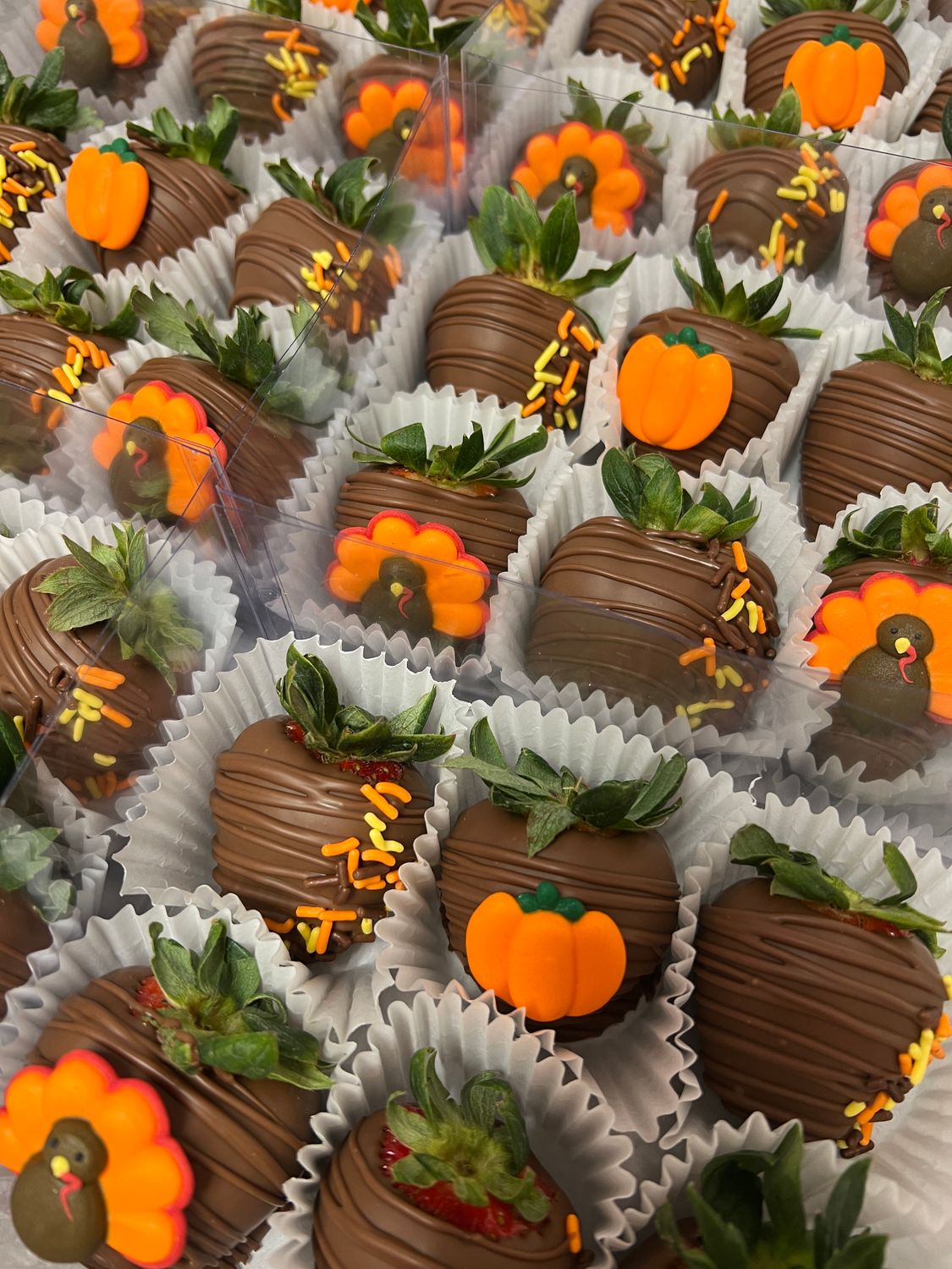 Thanksgiving Berries