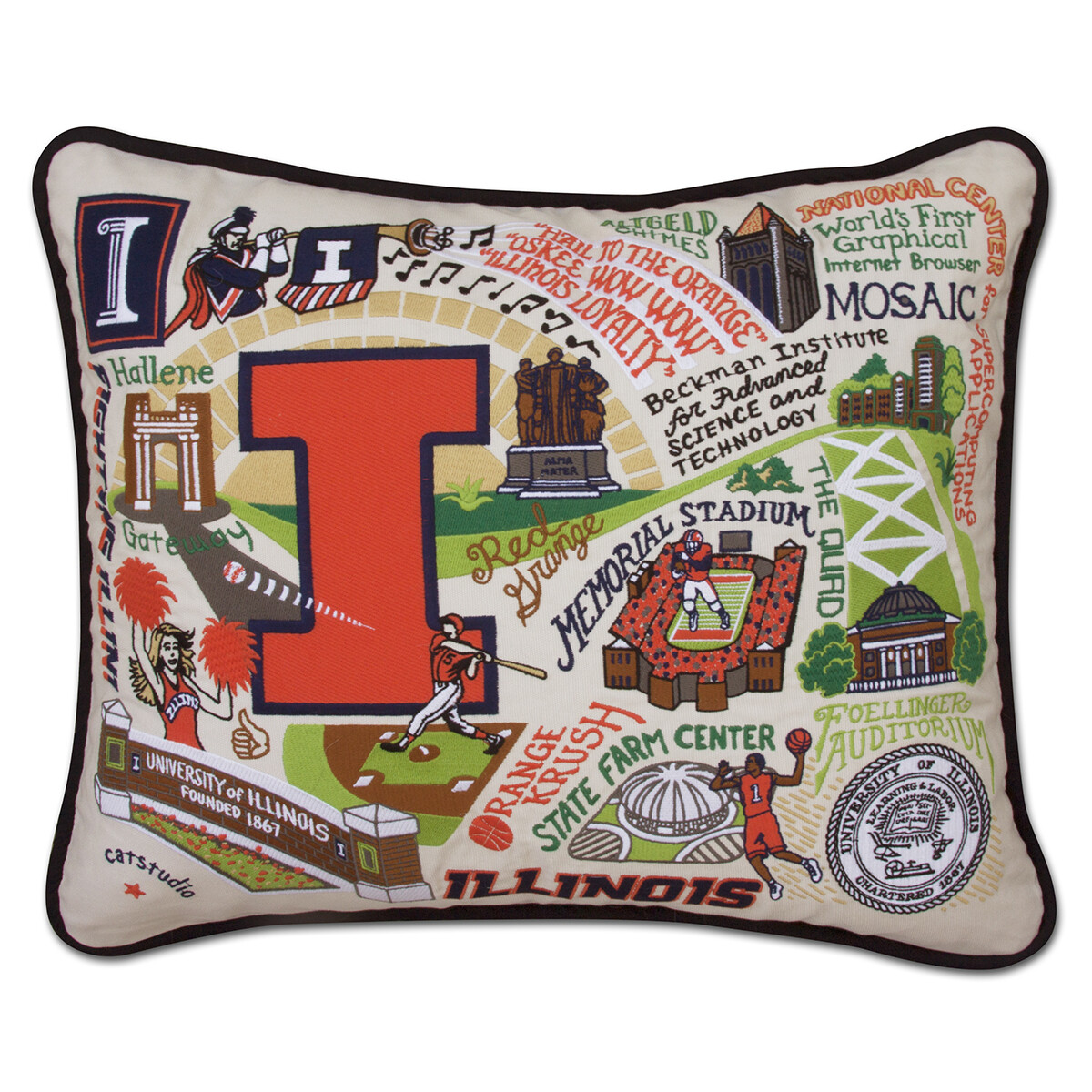University of Illinois pillow