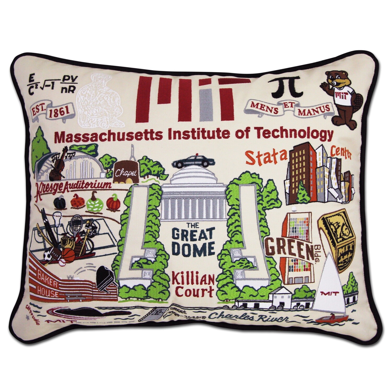 MIT pillow