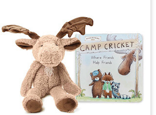 Camp Cricket book set