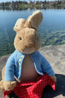 &quot;Peek a boo&quot; Peter Rabbit-OUT OF STOCK