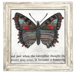 Butterfly 23" x 23"