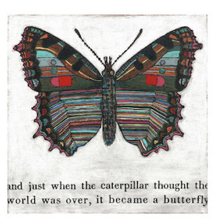 Butterfly print 12&#39; x12&quot;