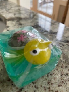 Turtle Soap