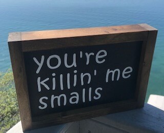 You&#39;re killing me smalls