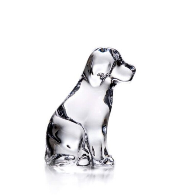 Simon Pearce dog