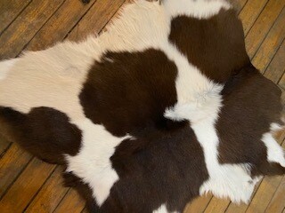 Brown cow hide (2 x 3) SOLD OUT!