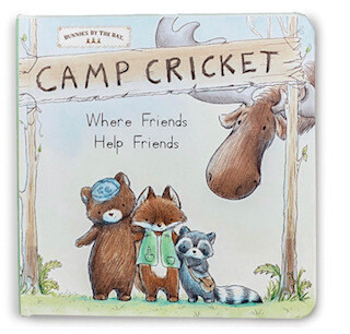 Camp Cricket book
