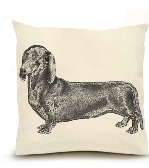 Dachshund pillow