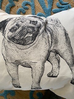Pug pillow