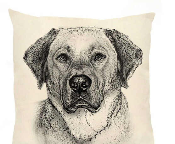 Yellow lab pillow