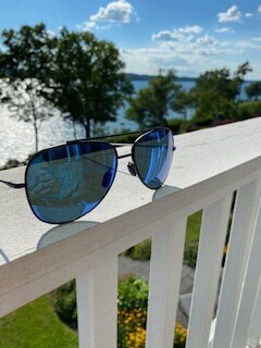 Swing 1611/blue polarized