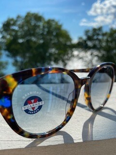 District 1923/ blue tortoise