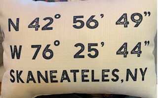 Skan Coordinates pillow