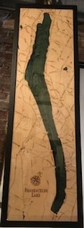 Skaneateles Lake Elevation wall art