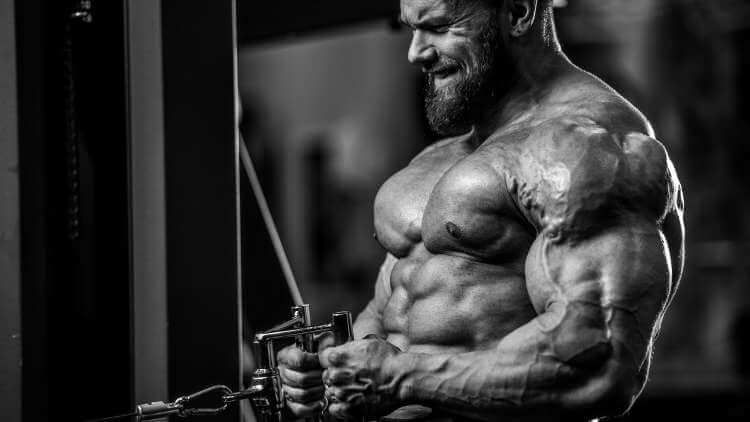 Best Legal Steroids For Muscle Growth 2025: for Stronger Muscle Mass and Power